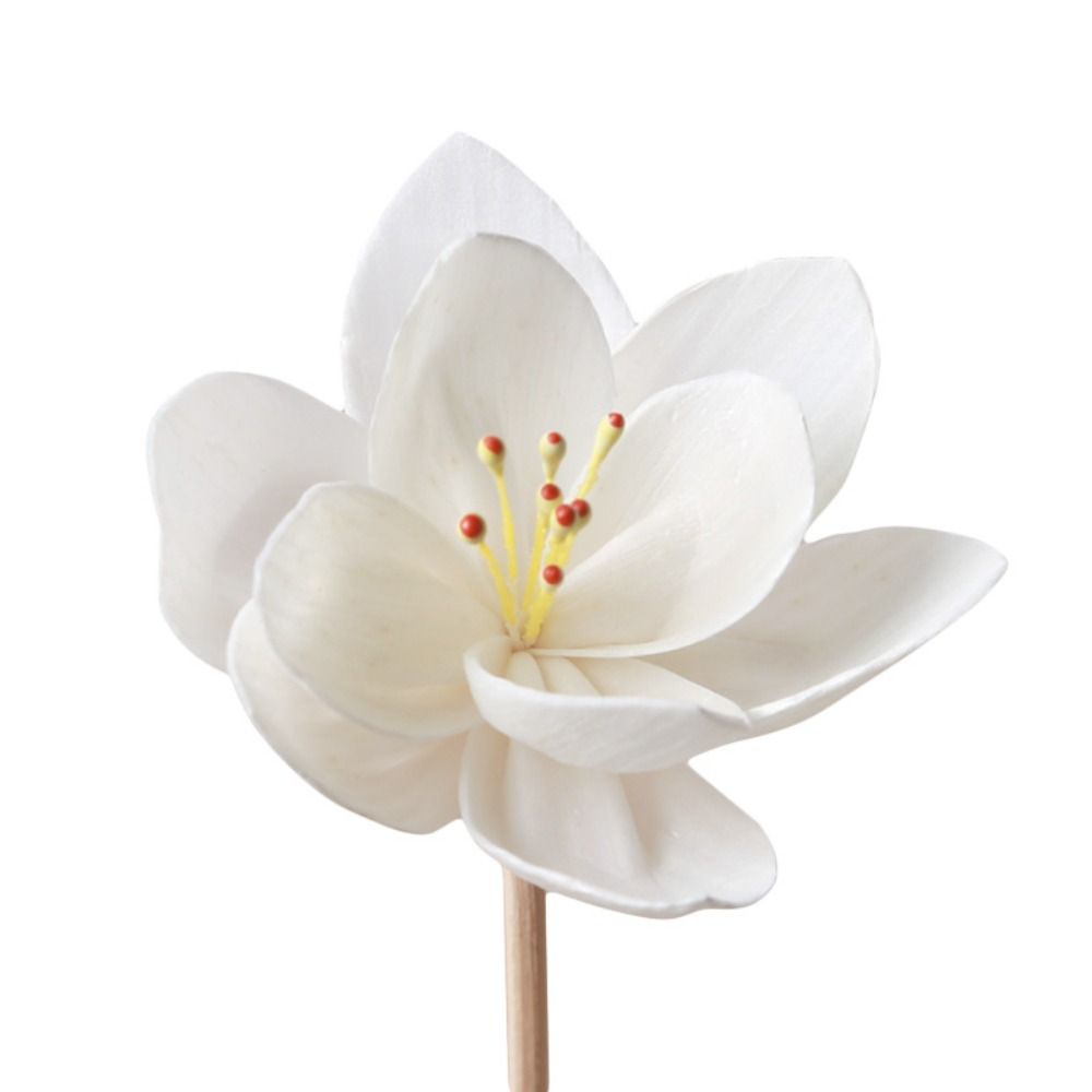 5cm Creative Handmade Fragranc - Home Fragrance Incense Sticks 评论和价格