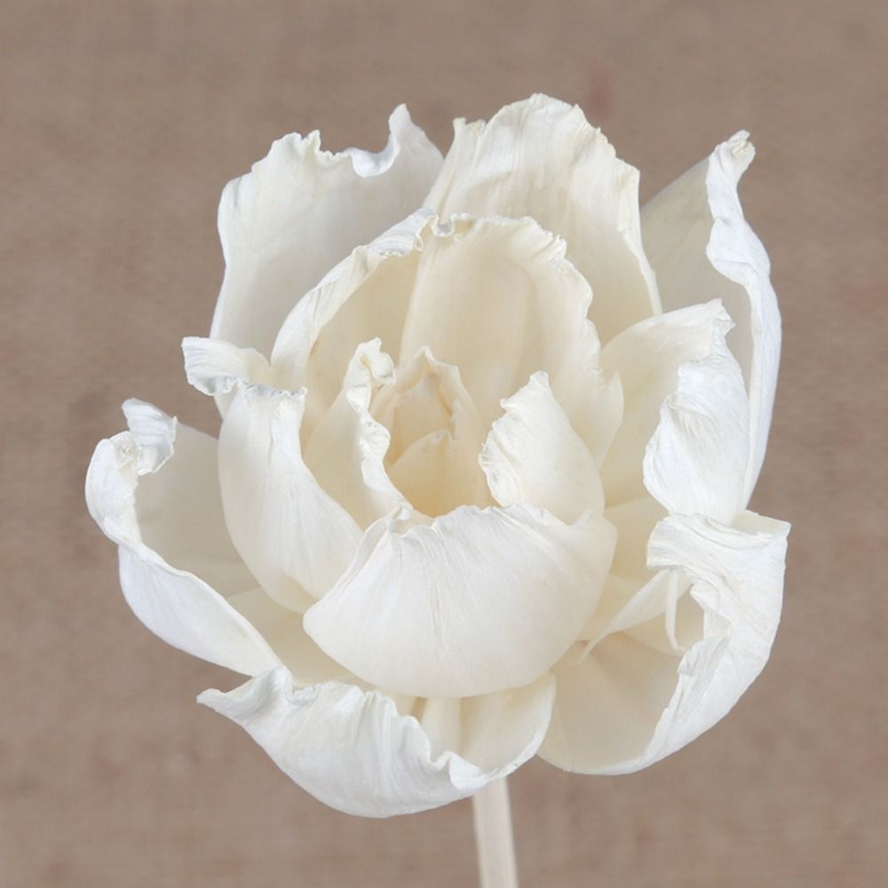 Multipurpose 5cm Natural Handm - Home Fragrance Incense Sticks 评论和价格